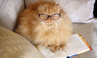 21bb7355-619e-4dab-9116-d3e727f274a1-1020x612