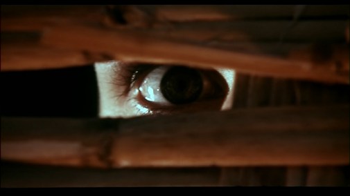 large_ital_a_bay_of_blood_blu-ray_3i