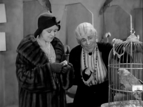 tumblr_mhmv8qbQlQ1rb39tyo1_500