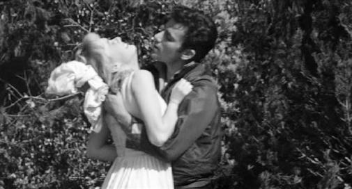 0377438_8761_MC_Tx360