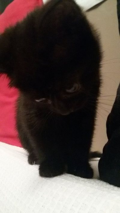 13140945_10209977943474599_582127564_n