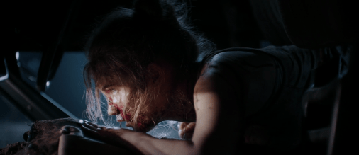 vlcsnap-2017-01-03-21h36m54s476