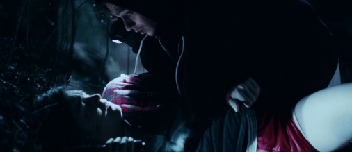 vlcsnap-2017-01-03-21h38m44s344