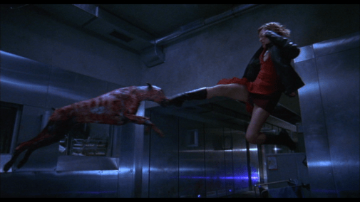 vlcsnap-2017-01-06-21h02m31s938